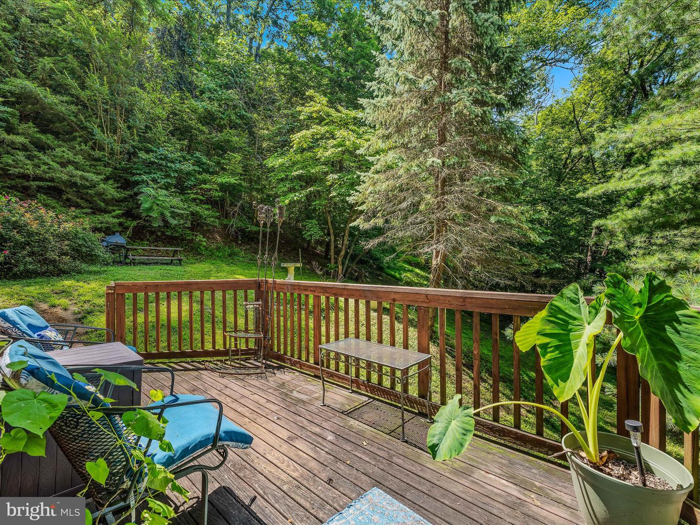 1149 DEER RAPIDS RD, STRASBURG, Virginia 22657, 3 Bedrooms Bedrooms, ,2 BathroomsBathrooms,Residential,For sale,1149 DEER RAPIDS RD,VASH2011832 MLS # VASH2011832