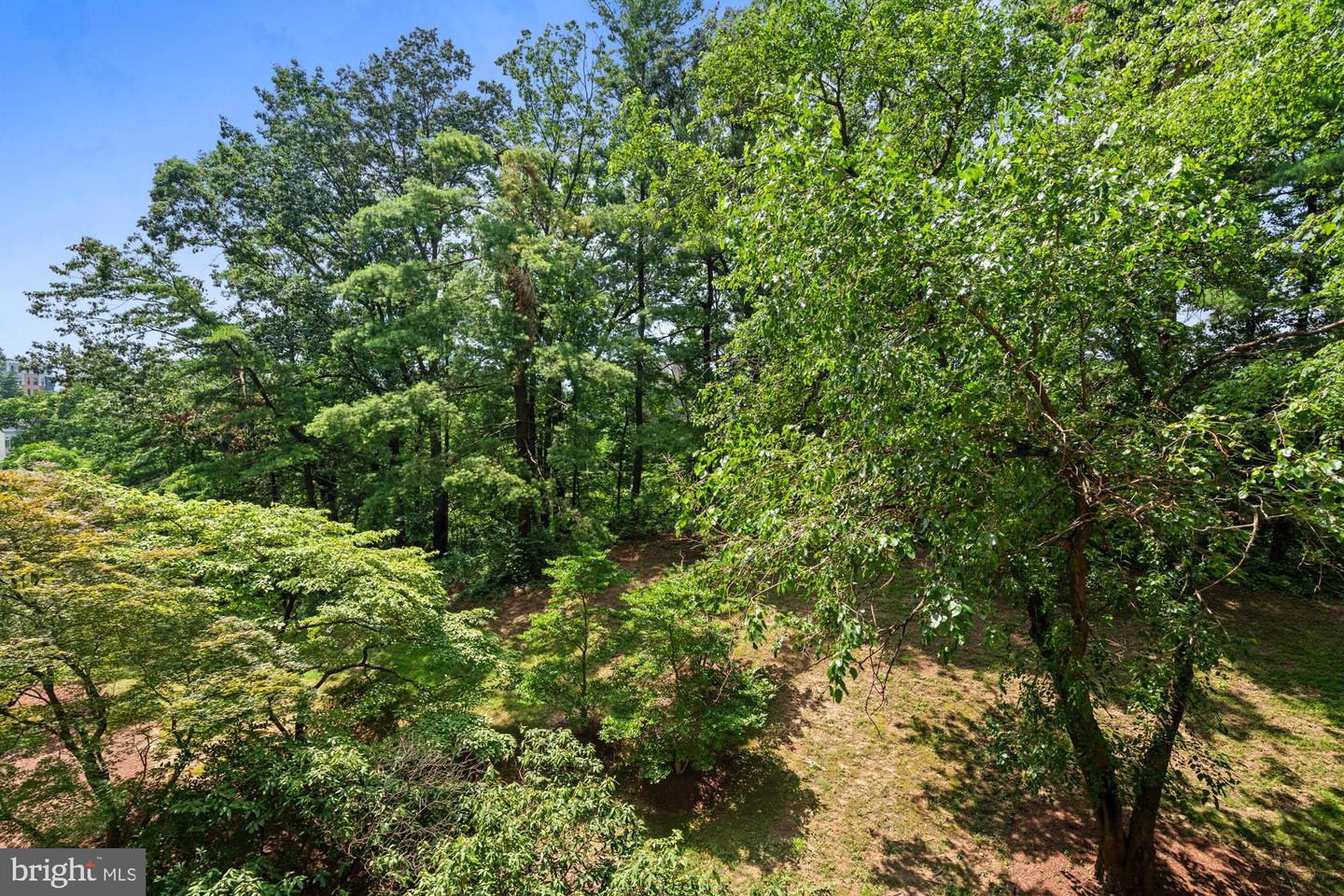 6301 STEVENSON AVE #410, ALEXANDRIA, Virginia 22304, 2 Bedrooms Bedrooms, ,2 BathroomsBathrooms,Residential,For sale,6301 STEVENSON AVE #410,VAAX2047050 MLS # VAAX2047050