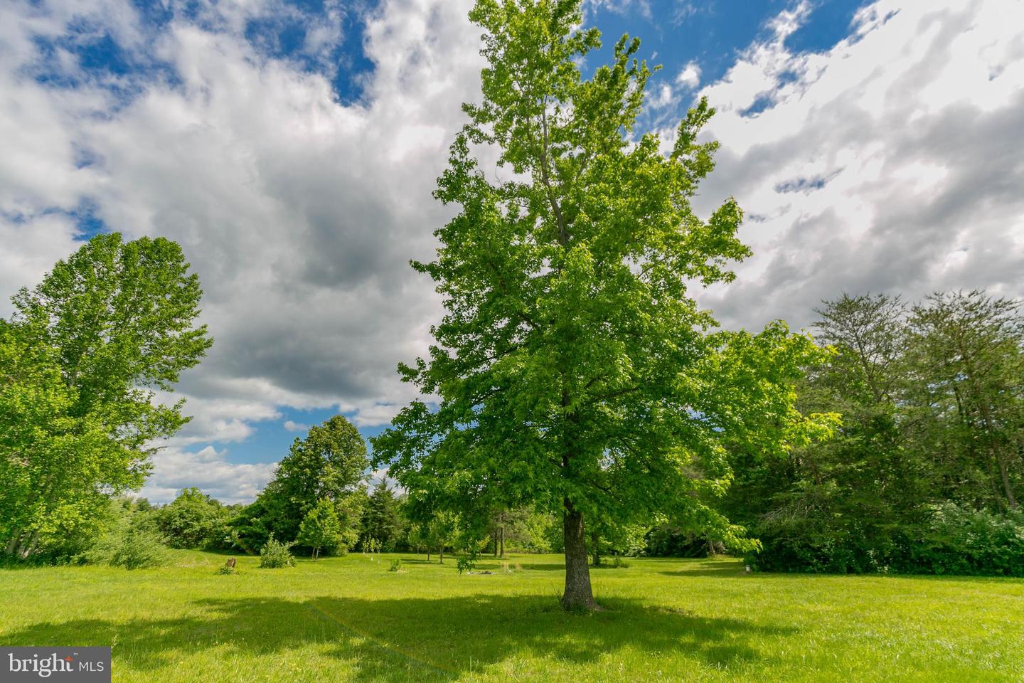19083 COUNTRY RD, BEAVERDAM, Virginia 23015, 2 Bedrooms Bedrooms, 4 Rooms Rooms,2 BathroomsBathrooms,Residential,For sale,19083 COUNTRY RD,VACV2008408 MLS # VACV2008408