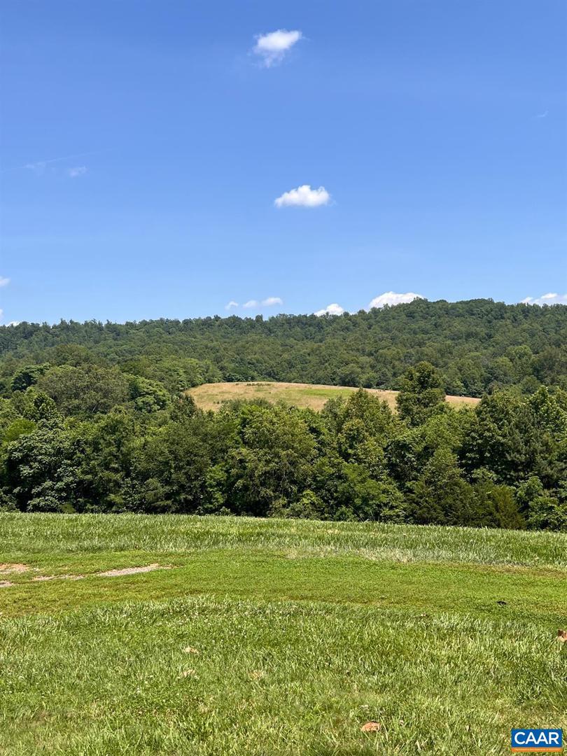 1410 STEVENS COVE RD, LOVINGSTON, Virginia 22949, 3 Bedrooms Bedrooms, ,2 BathroomsBathrooms,Residential,For sale,1410 STEVENS COVE RD,666212 MLS # 666212