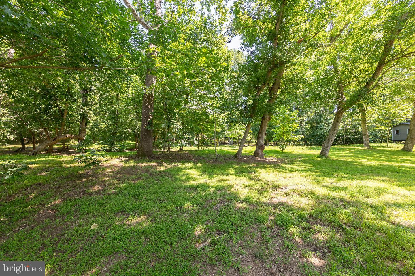 1159 STONEY BOTTOM RD, FRONT ROYAL, Virginia 22630, 4 Bedrooms Bedrooms, 14 Rooms Rooms,3 BathroomsBathrooms,Residential,For sale,1159 STONEY BOTTOM RD,VAWR2008988 MLS # VAWR2008988