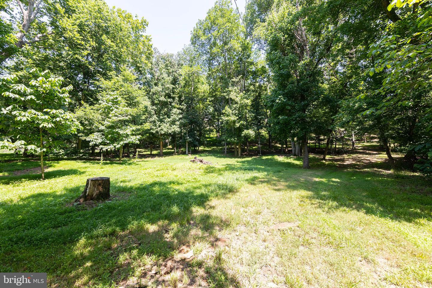 1159 STONEY BOTTOM RD, FRONT ROYAL, Virginia 22630, 4 Bedrooms Bedrooms, 14 Rooms Rooms,3 BathroomsBathrooms,Residential,For sale,1159 STONEY BOTTOM RD,VAWR2008988 MLS # VAWR2008988