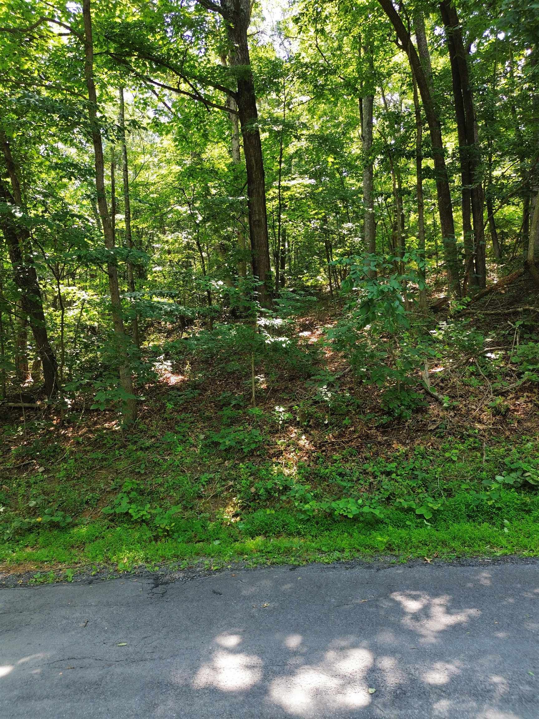 TBD WILLOW LN, MOUNT JACKSON, Virginia 22842, ,Land,TBD WILLOW LN,666290 MLS # 666290