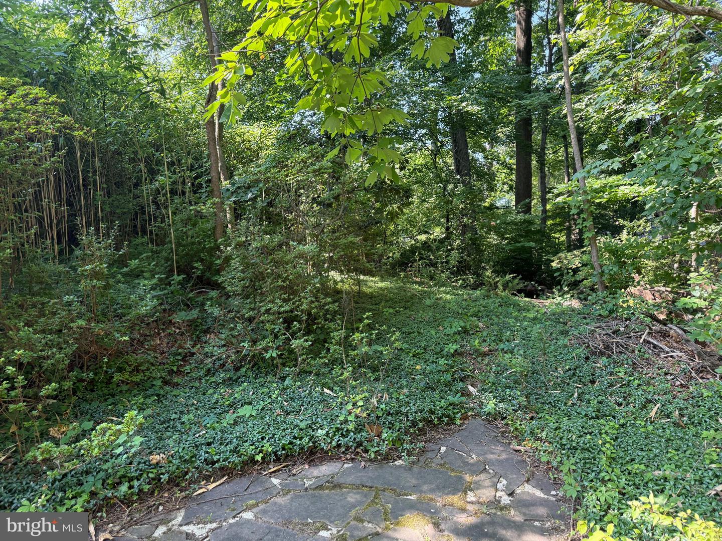 3170 N POLLARD ST, ARLINGTON, Virginia 22207, ,Land,For sale,3170 N POLLARD ST,VAAR2059946 MLS # VAAR2059946