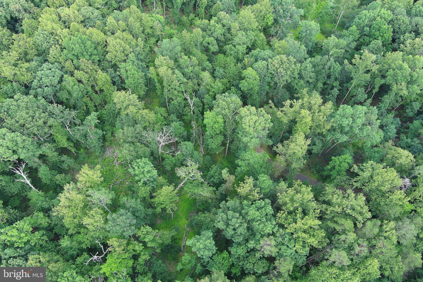 000 VAZARA RD, MARSHALL, Virginia 20115, ,Land,For sale,000 VAZARA RD,VAFQ2017252 MLS # VAFQ2017252