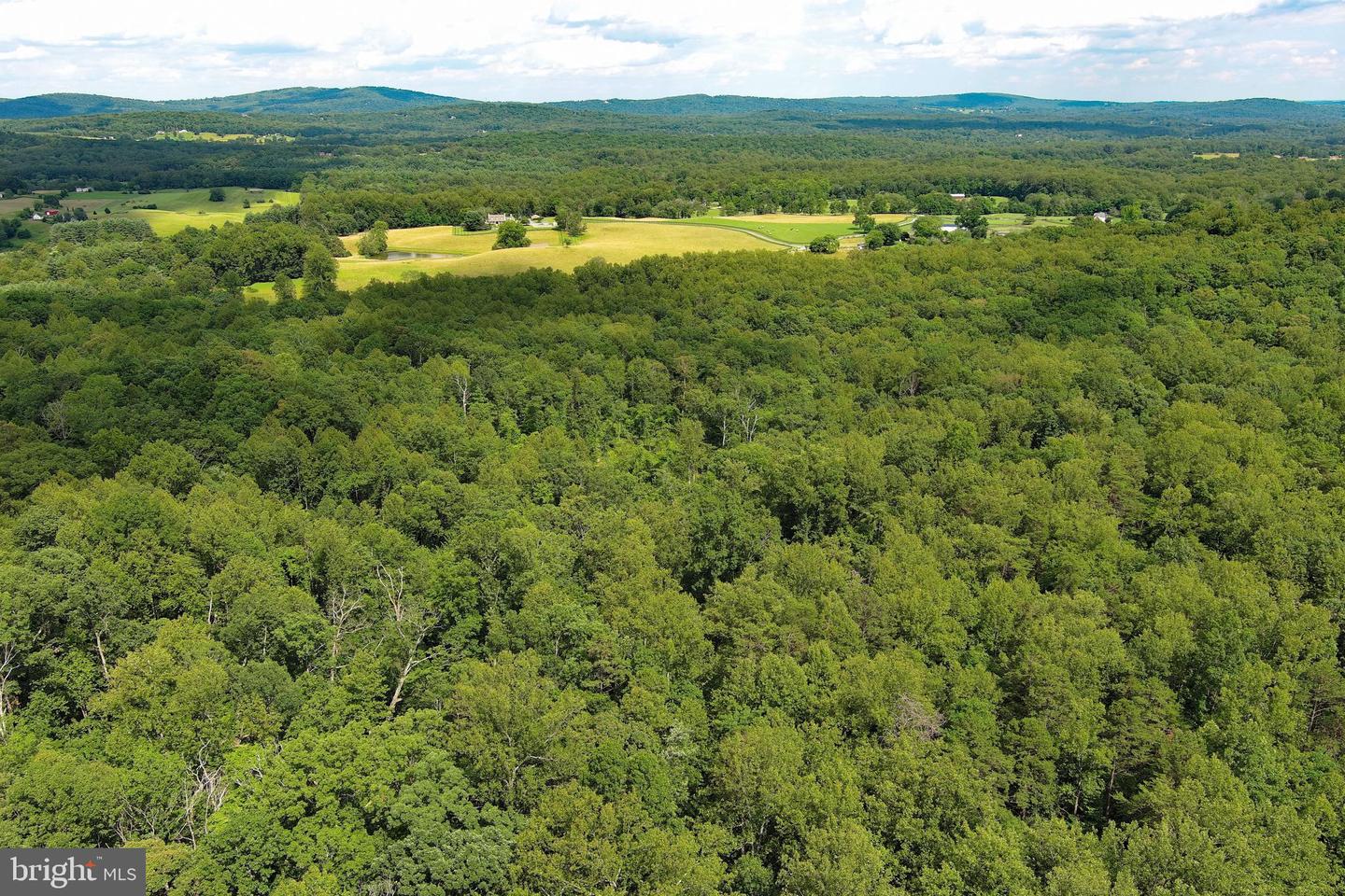 000 VAZARA RD, MARSHALL, Virginia 20115, ,Land,For sale,000 VAZARA RD,VAFQ2017252 MLS # VAFQ2017252