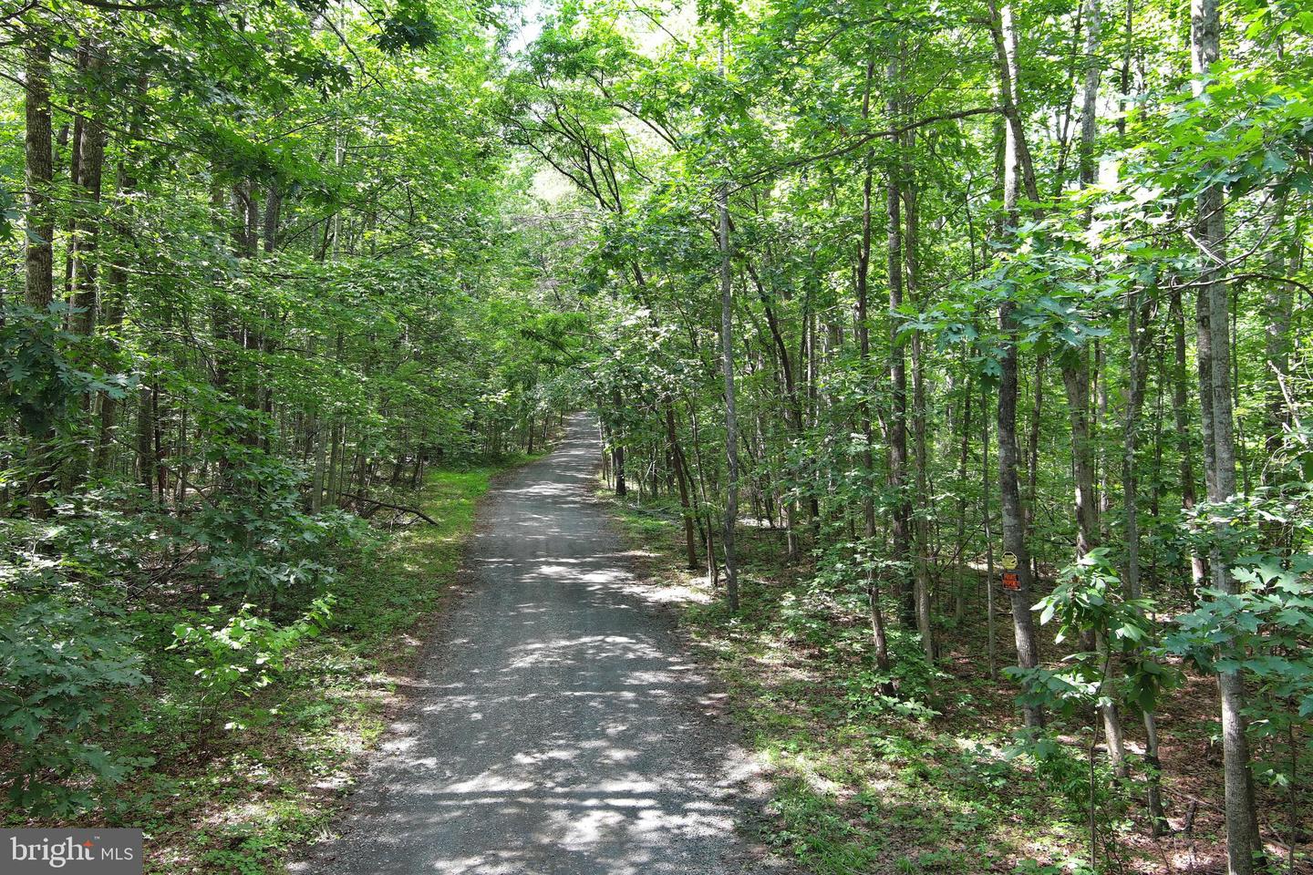 000 VAZARA RD, MARSHALL, Virginia 20115, ,Land,For sale,000 VAZARA RD,VAFQ2017252 MLS # VAFQ2017252