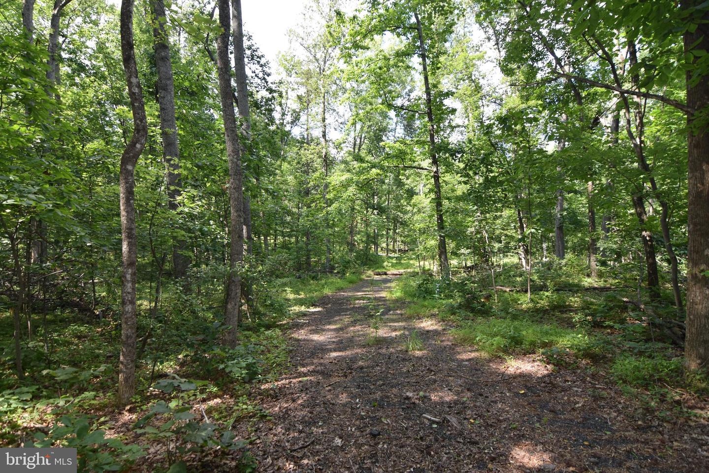 000 VAZARA RD, MARSHALL, Virginia 20115, ,Land,For sale,000 VAZARA RD,VAFQ2017252 MLS # VAFQ2017252