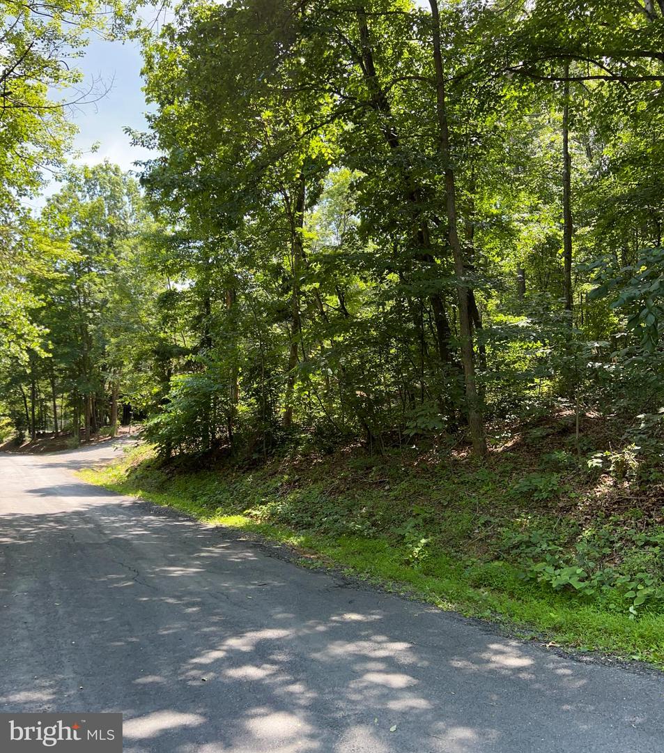 TBD WILLOW LN, MOUNT JACKSON, Virginia 22842, ,Land,For sale,TBD WILLOW LN,VASH2011878 MLS # VASH2011878