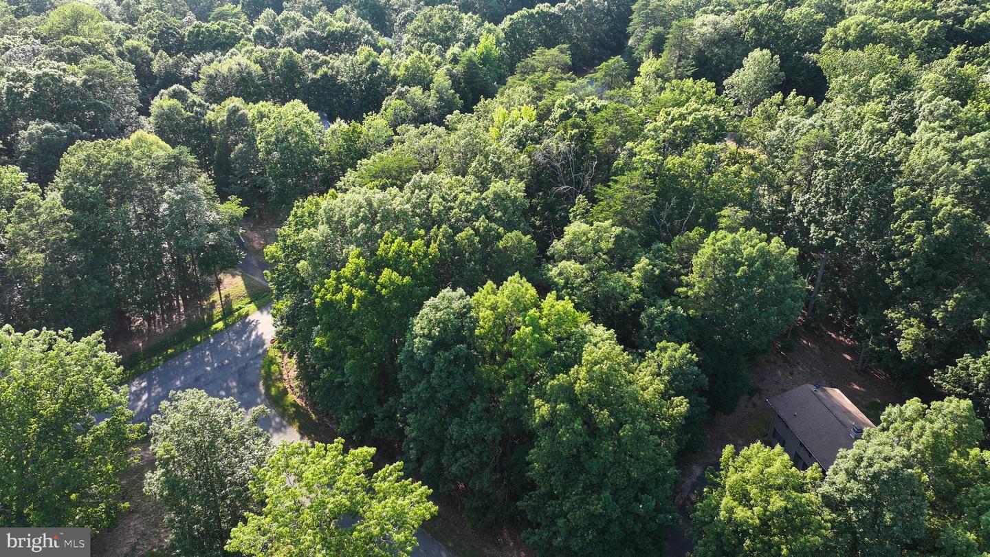 65 KELLY CIRCLE, MINERAL, Virginia 23117, ,Land,For sale,65 KELLY CIRCLE,VALA2008146 MLS # VALA2008146