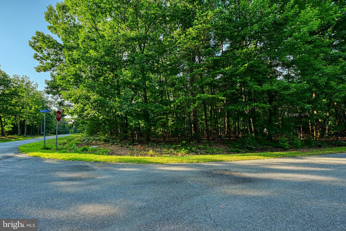 65 KELLY CIRCLE, MINERAL, Virginia 23117, ,Land,For sale,65 KELLY CIRCLE,VALA2008146 MLS # VALA2008146