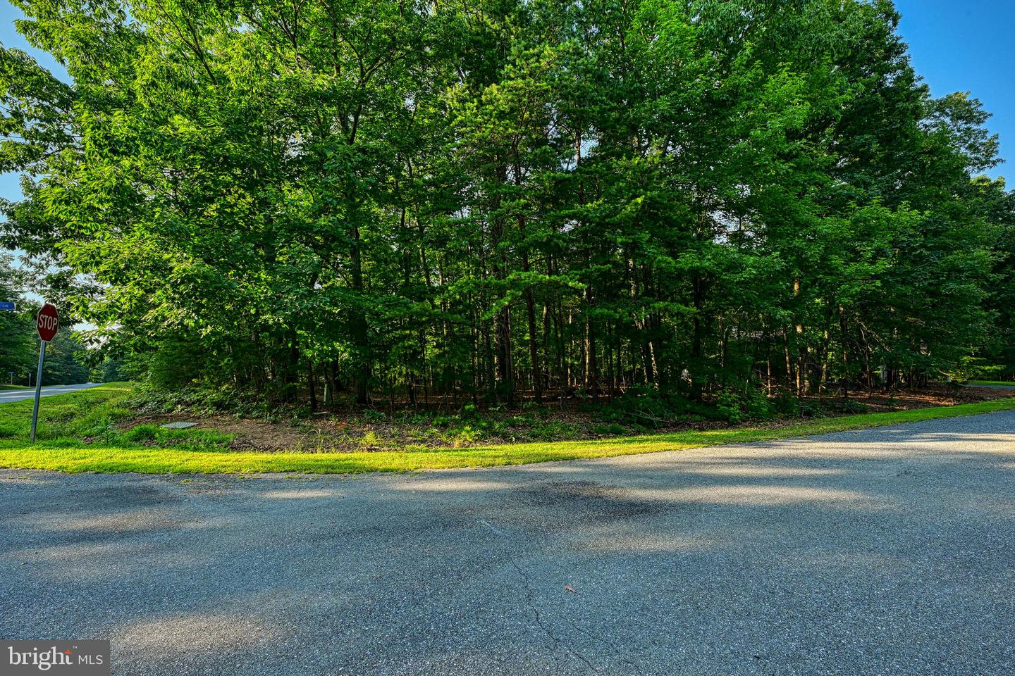 65 KELLY CIRCLE, MINERAL, Virginia 23117, ,Land,For sale,65 KELLY CIRCLE,VALA2008146 MLS # VALA2008146