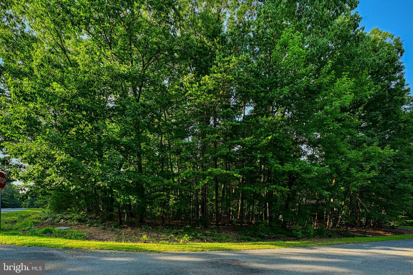 65 KELLY CIRCLE, MINERAL, Virginia 23117, ,Land,For sale,65 KELLY CIRCLE,VALA2008146 MLS # VALA2008146