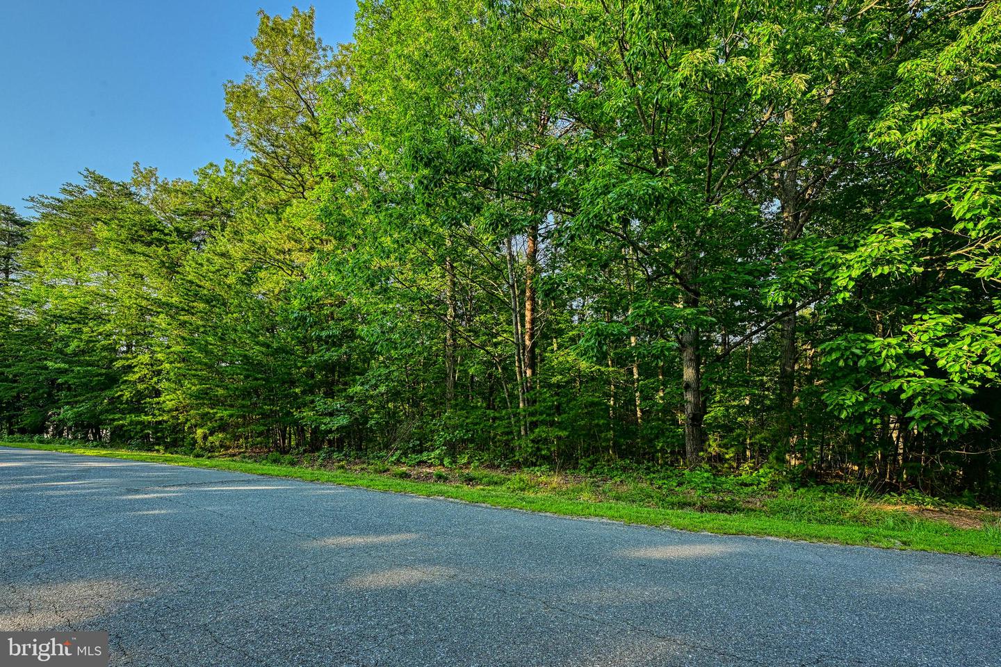 65 KELLY CIRCLE, MINERAL, Virginia 23117, ,Land,For sale,65 KELLY CIRCLE,VALA2008146 MLS # VALA2008146