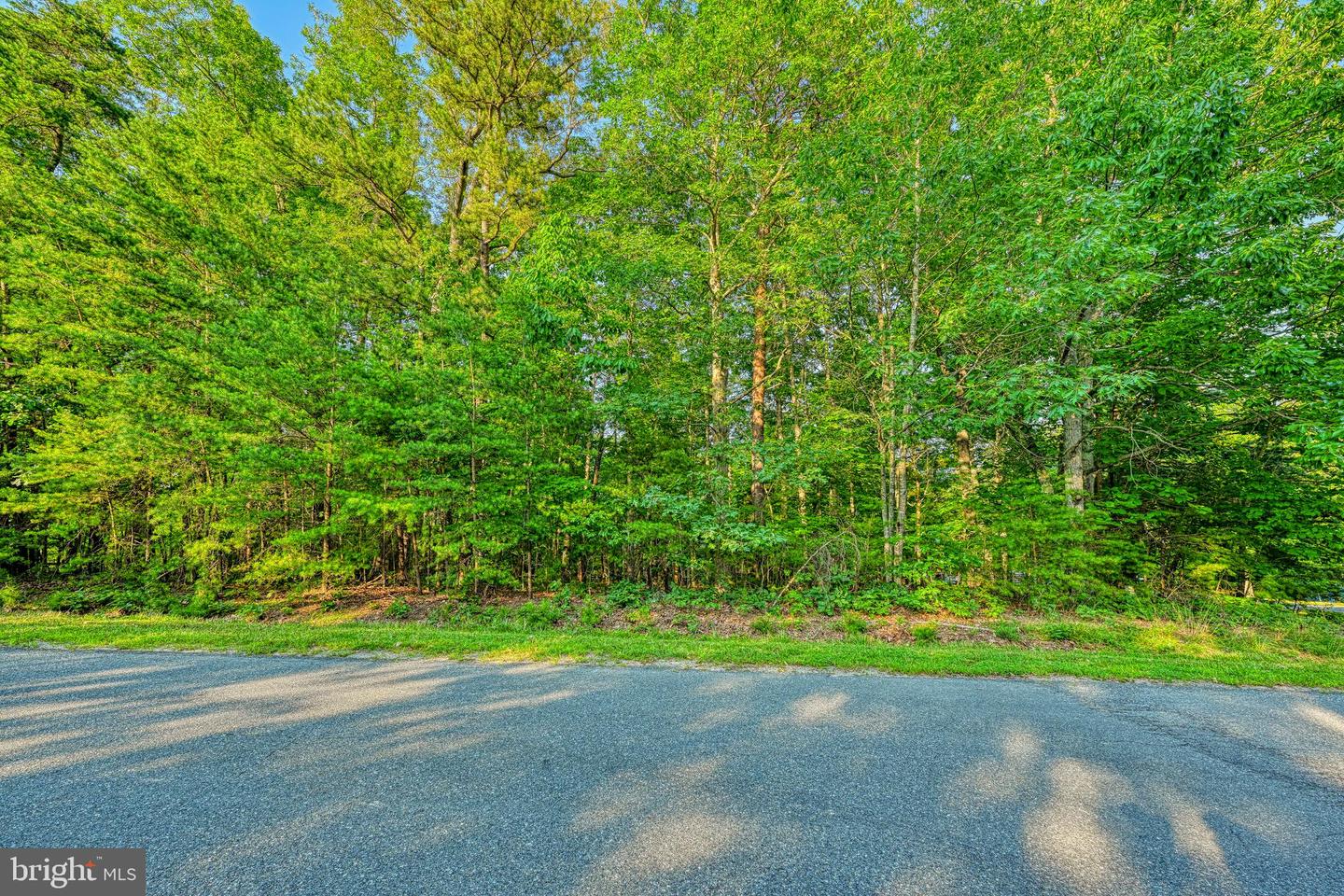65 KELLY CIRCLE, MINERAL, Virginia 23117, ,Land,For sale,65 KELLY CIRCLE,VALA2008146 MLS # VALA2008146