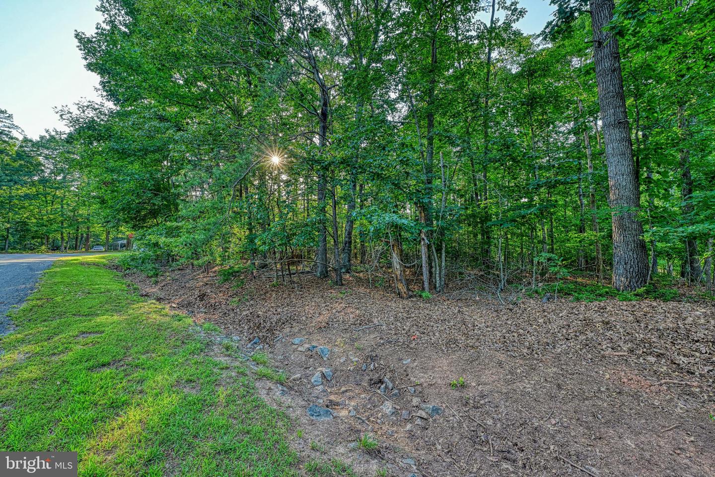 65 KELLY CIRCLE, MINERAL, Virginia 23117, ,Land,For sale,65 KELLY CIRCLE,VALA2008146 MLS # VALA2008146