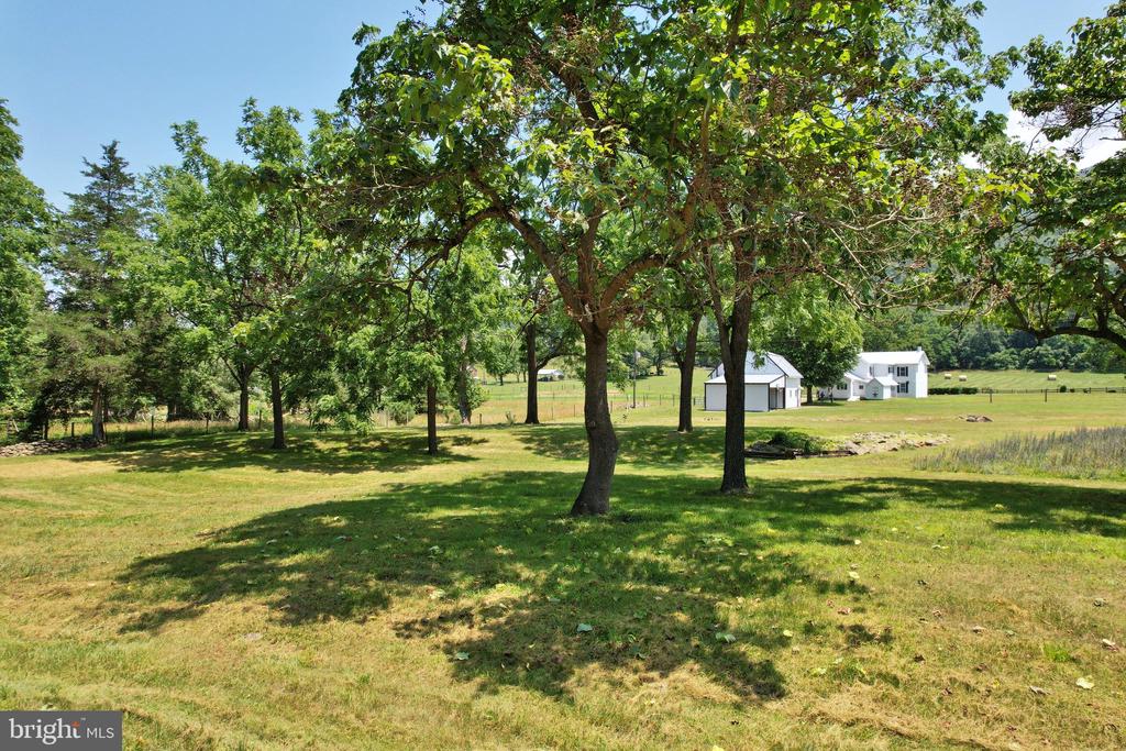 3150 IDA RD, LURAY, Virginia 22835, 3 Bedrooms Bedrooms, ,1 BathroomBathrooms,Residential,3150 IDA RD,VAPA2005050 MLS # VAPA2005050