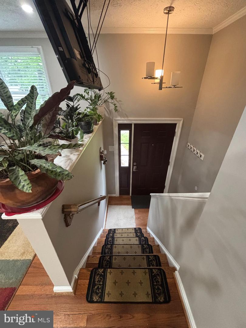 557 ROCKBRIDGE DR SE, LEESBURG, Virginia 20175, 4 Bedrooms Bedrooms, ,2 BathroomsBathrooms,Residential,For sale,557 ROCKBRIDGE DR SE,VALO2096518 MLS # VALO2096518