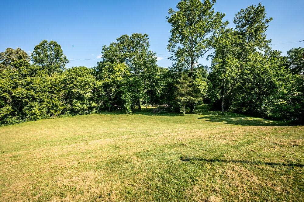 open semi-flat area by the creek.