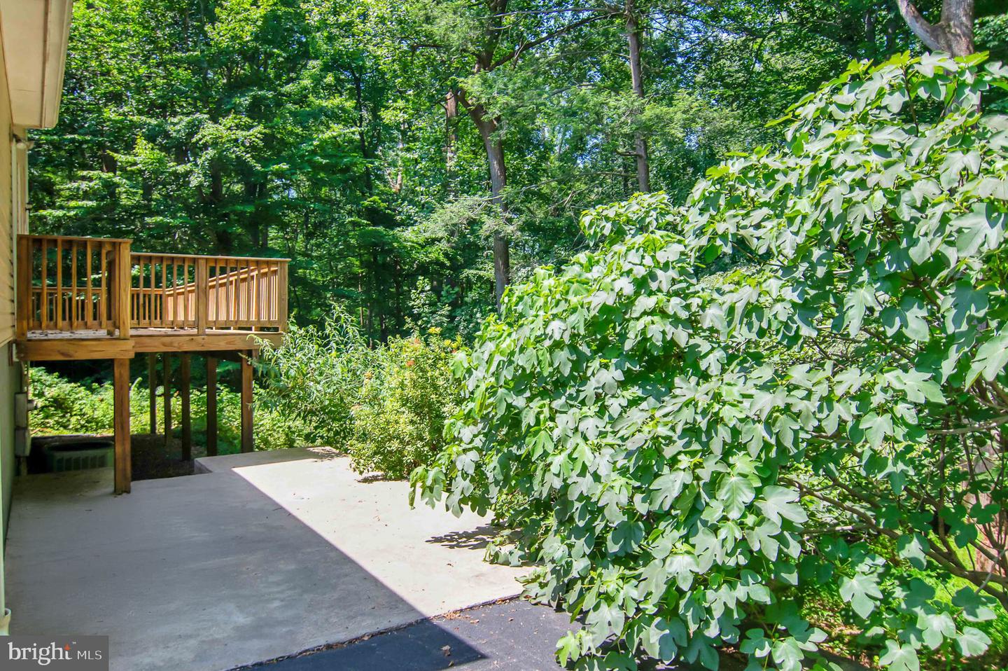 12651 PEAK CT, MANASSAS, Virginia 20112, 4 Bedrooms Bedrooms, ,2 BathroomsBathrooms,Residential,For sale,12651 PEAK CT,VAPW2096000 MLS # VAPW2096000
