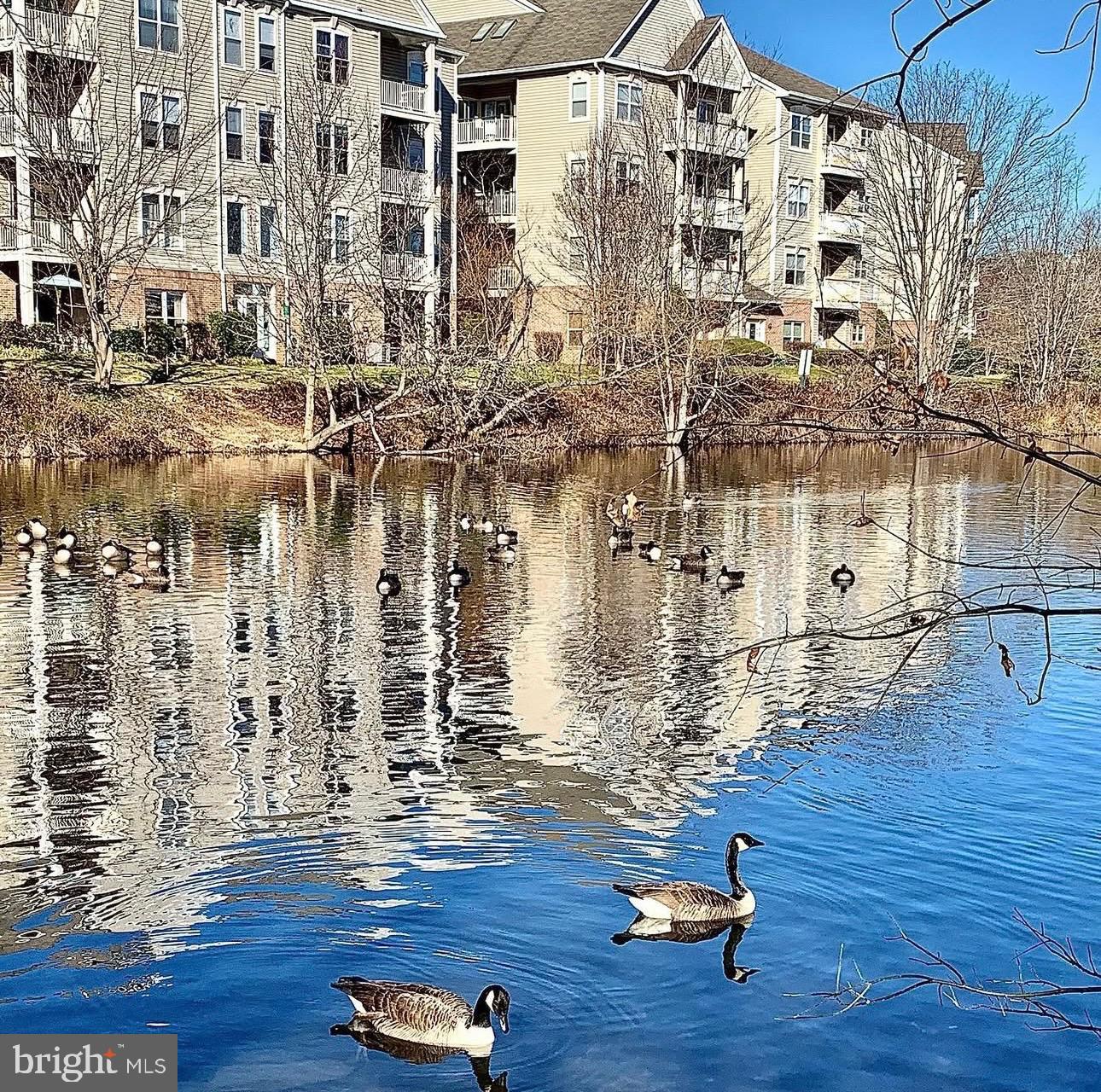6541 GRANGE LN #401, ALEXANDRIA, Virginia 22315, 2 Bedrooms Bedrooms, ,2 BathroomsBathrooms,Residential,For sale,6541 GRANGE LN #401,VAFX2247798 MLS # VAFX2247798