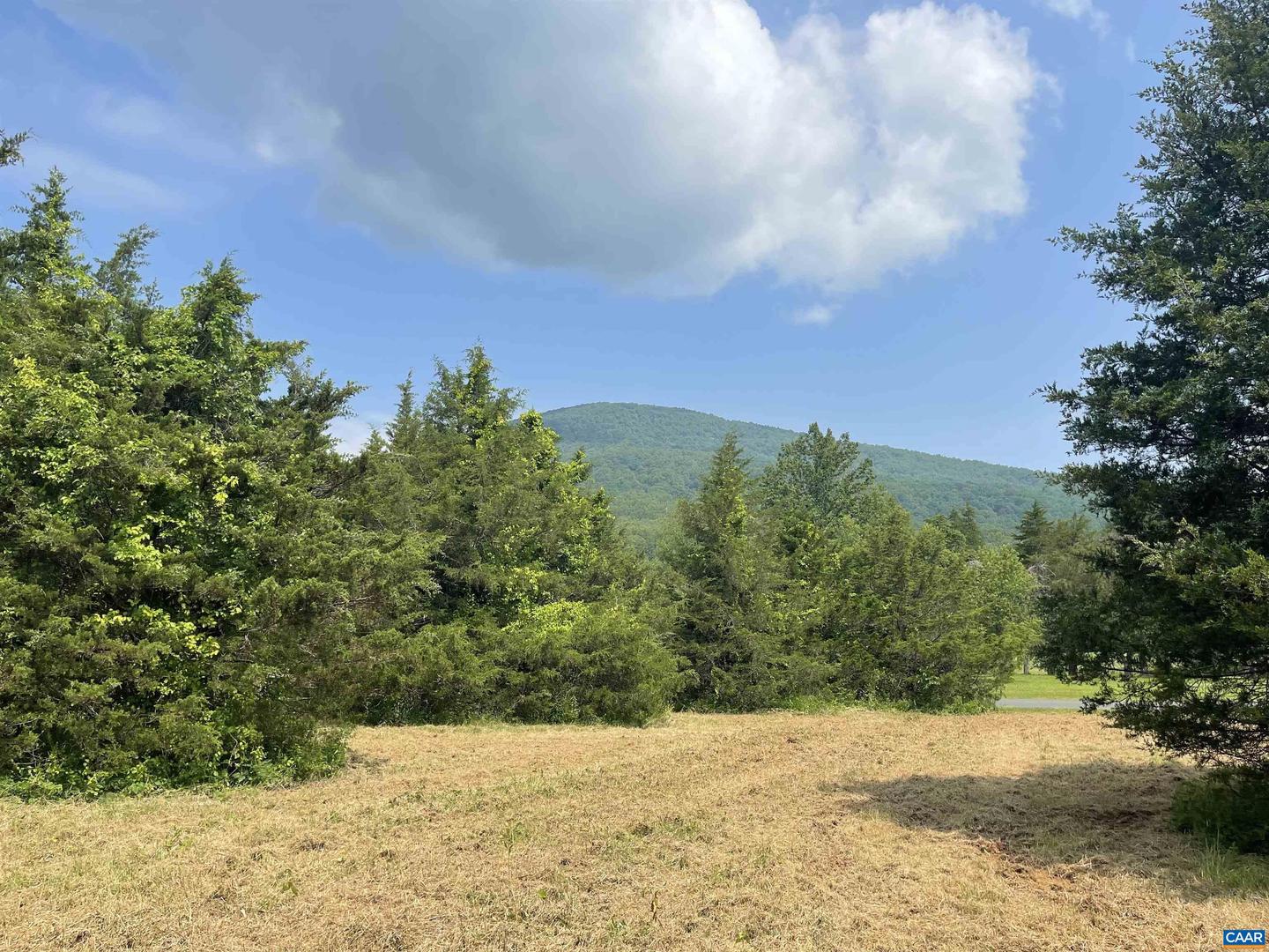 196 HUNTERS PT, NELLYSFORD, Virginia 22958, ,Land,For sale,196 HUNTERS PT,665544 MLS # 665544