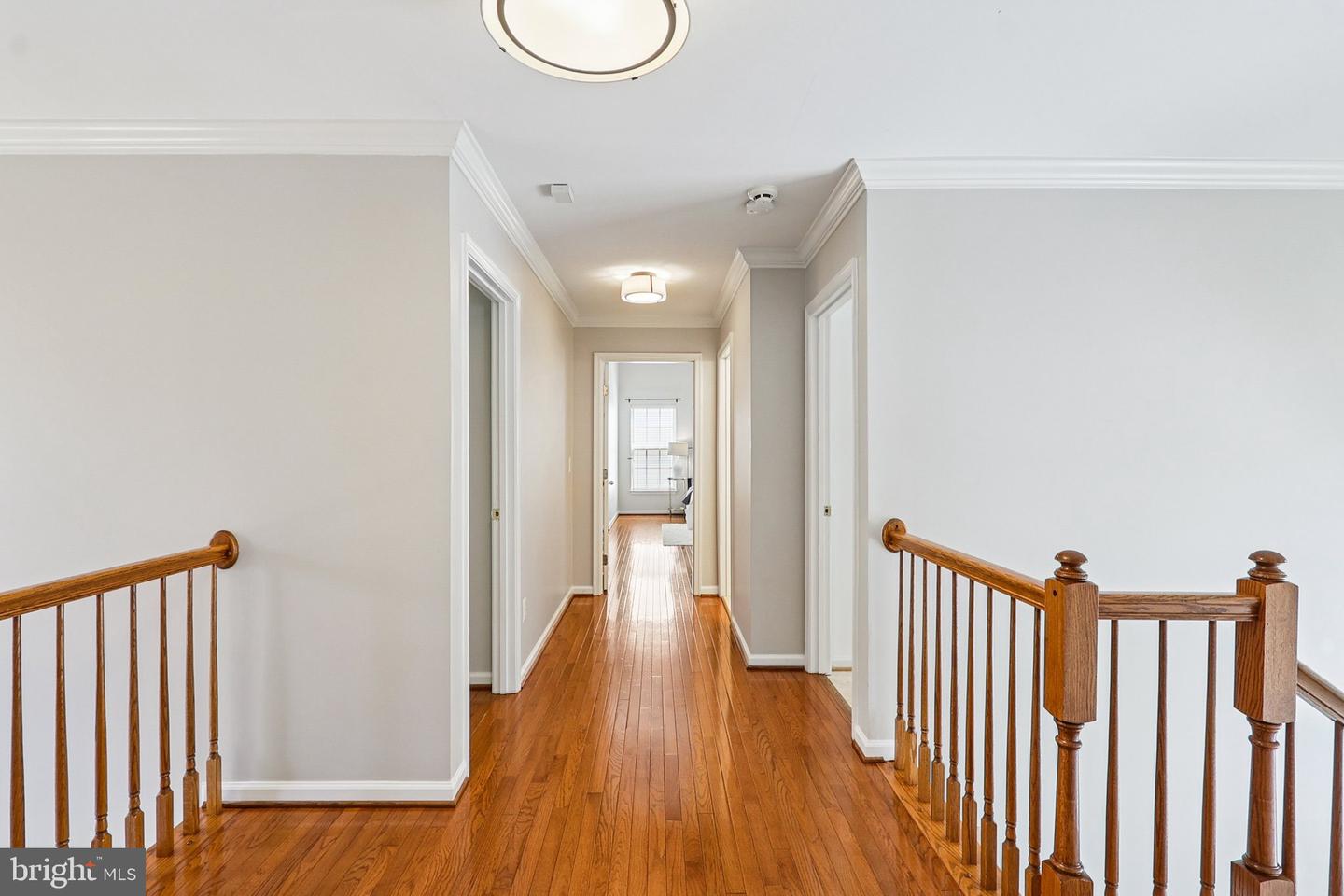 5570 LA VISTA DR, ALEXANDRIA, Virginia 22310, 5 Bedrooms Bedrooms, ,4 BathroomsBathrooms,Residential,For sale,5570 LA VISTA DR,VAFX2249092 MLS # VAFX2249092