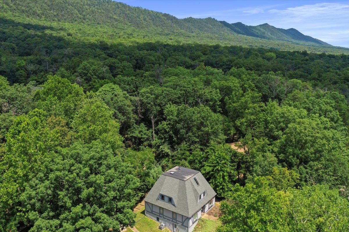 162 HARTMAN CT, MCGAHEYSVILLE, Virginia 22840, 4 Bedrooms Bedrooms, ,2 BathroomsBathrooms,Residential,162 HARTMAN CT,666304 MLS # 666304