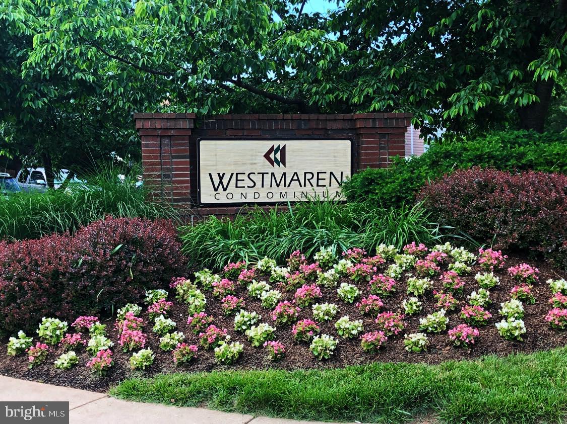 20965 TIMBER RIDGE TER #304, ASHBURN, Virginia 20147, 1 Bedroom Bedrooms, ,1 BathroomBathrooms,Residential,For sale,20965 TIMBER RIDGE TER #304,VALO2100198 MLS # VALO2100198