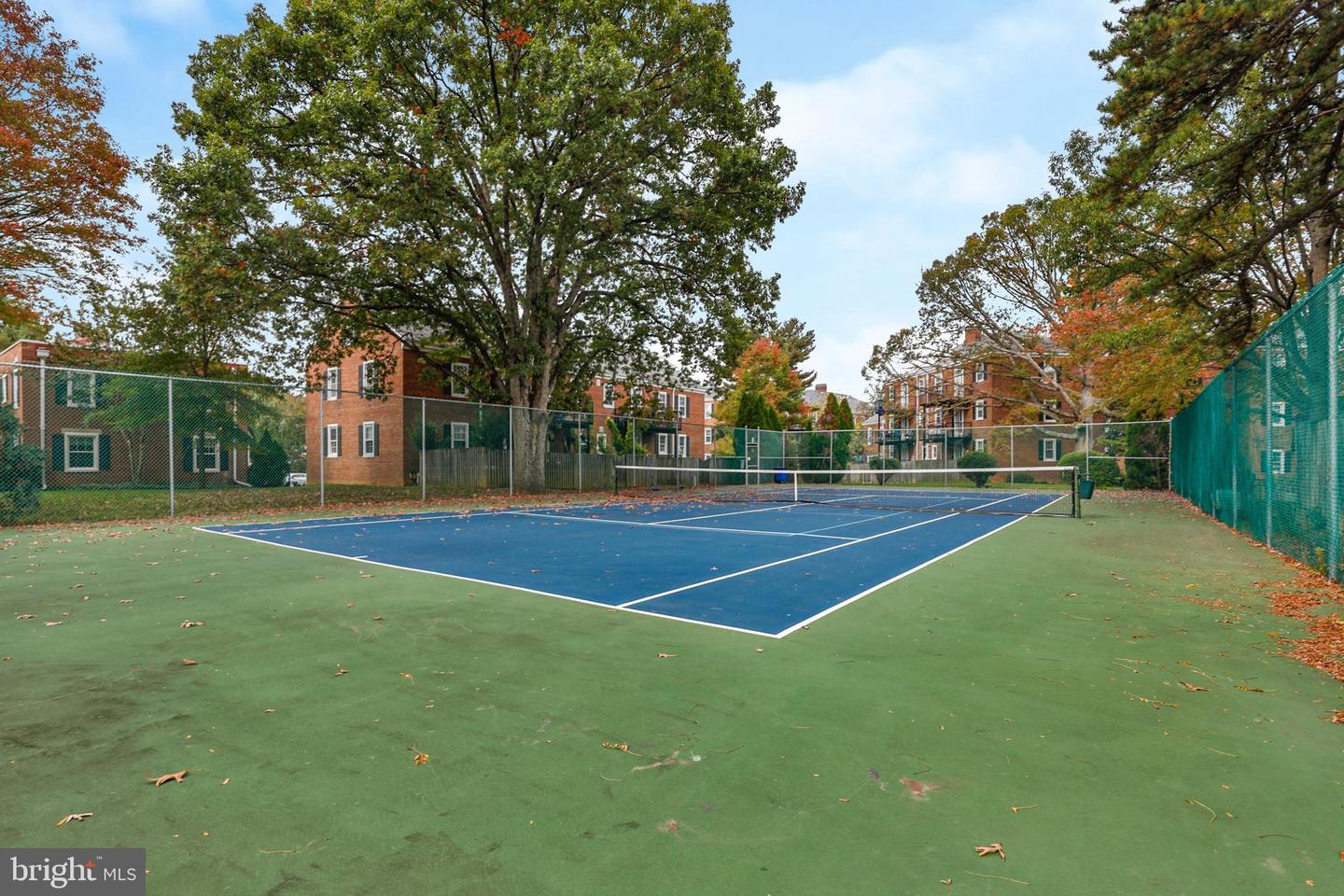 2967 S COLUMBUS ST #B2, ARLINGTON, Virginia 22206, 1 Bedroom Bedrooms, 5 Rooms Rooms,1 BathroomBathrooms,Residential,For sale,2967 S COLUMBUS ST #B2,VAAR2059756 MLS # VAAR2059756