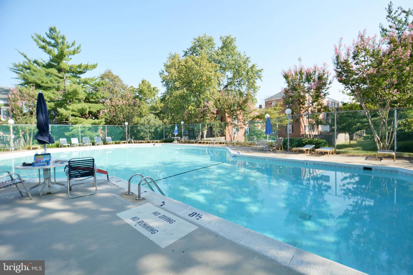 2967 S COLUMBUS ST #B2, ARLINGTON, Virginia 22206, 1 Bedroom Bedrooms, 5 Rooms Rooms,1 BathroomBathrooms,Residential,For sale,2967 S COLUMBUS ST #B2,VAAR2059756 MLS # VAAR2059756