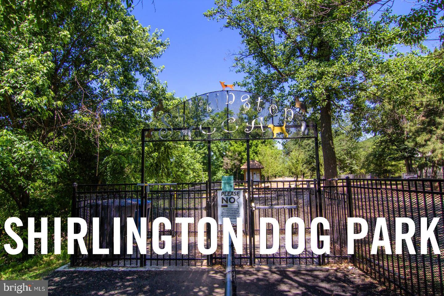 2967 S COLUMBUS ST #B2, ARLINGTON, Virginia 22206, 1 Bedroom Bedrooms, 5 Rooms Rooms,1 BathroomBathrooms,Residential,For sale,2967 S COLUMBUS ST #B2,VAAR2059756 MLS # VAAR2059756