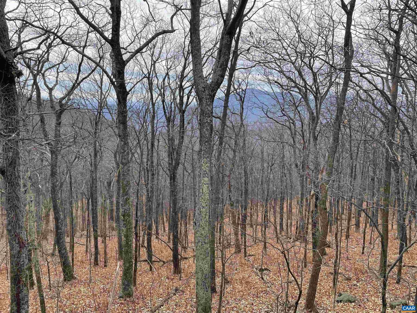 803 LAURELWOOD CONDOS #803, WINTERGREEN RESORT, Virginia 22967, 2 Bedrooms Bedrooms, ,2 BathroomsBathrooms,Residential,For sale,803 LAURELWOOD CONDOS #803,666168 MLS # 666168