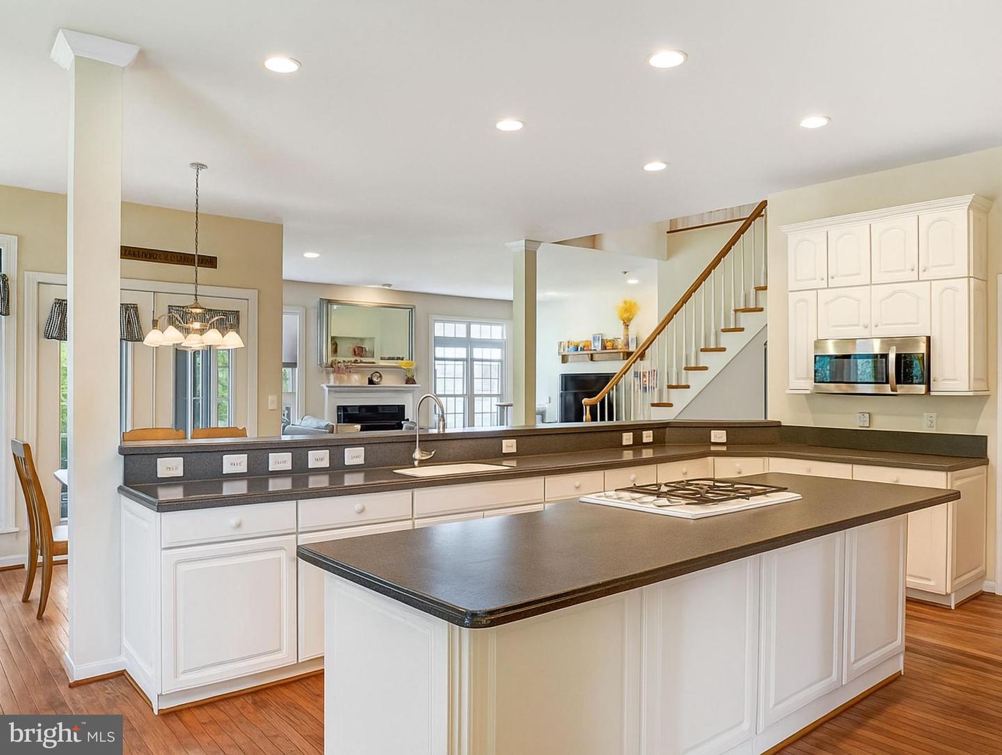 25072 GAZELLE CT, CHANTILLY, Virginia 20152, 5 Bedrooms Bedrooms, ,4 BathroomsBathrooms,Residential,For sale,25072 GAZELLE CT,VALO2100676 MLS # VALO2100676