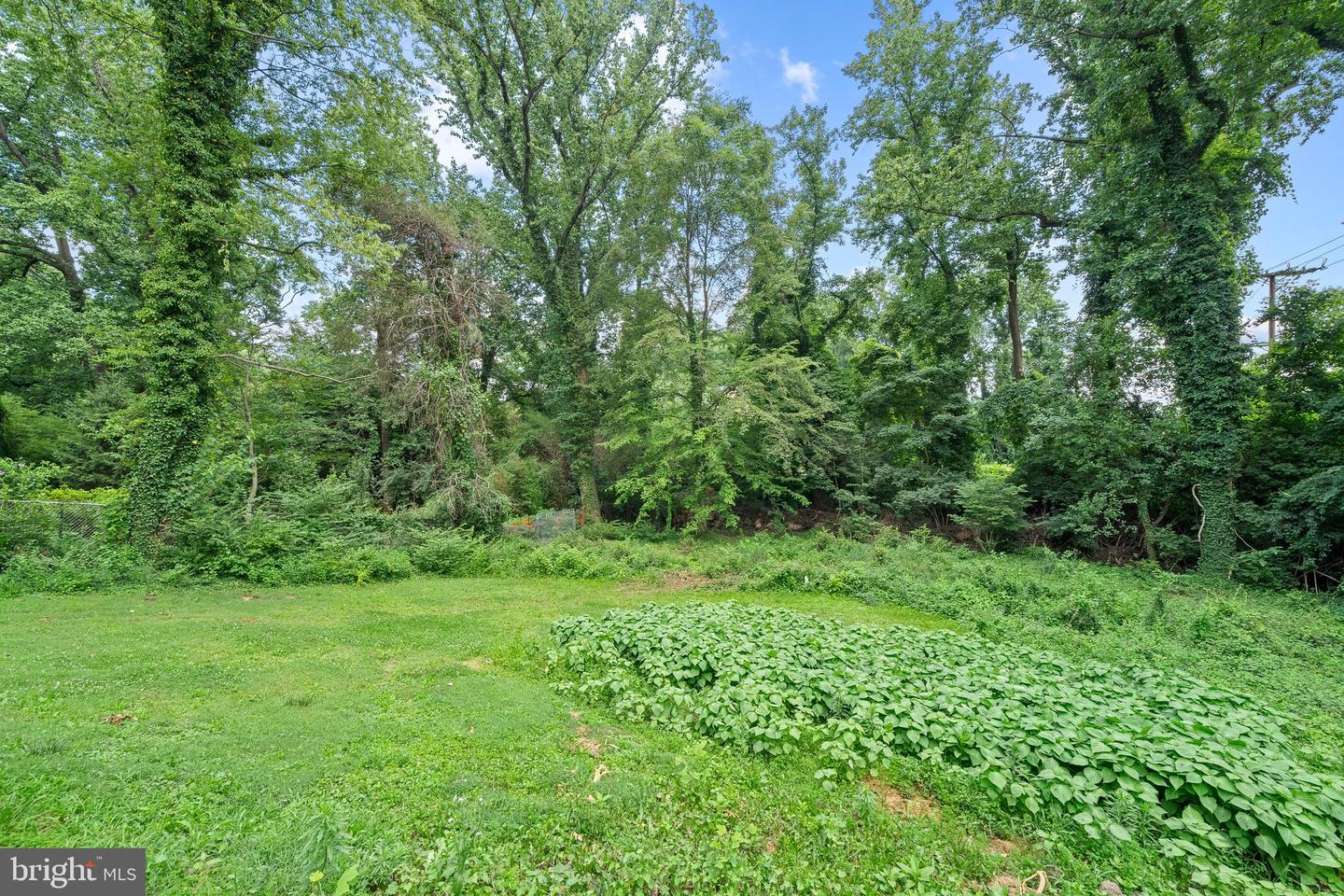 9151 HERMOSA DR, FAIRFAX, Virginia 22031, 5 Bedrooms Bedrooms, ,3 BathroomsBathrooms,Residential,For sale,9151 HERMOSA DR,VAFX2252408 MLS # VAFX2252408