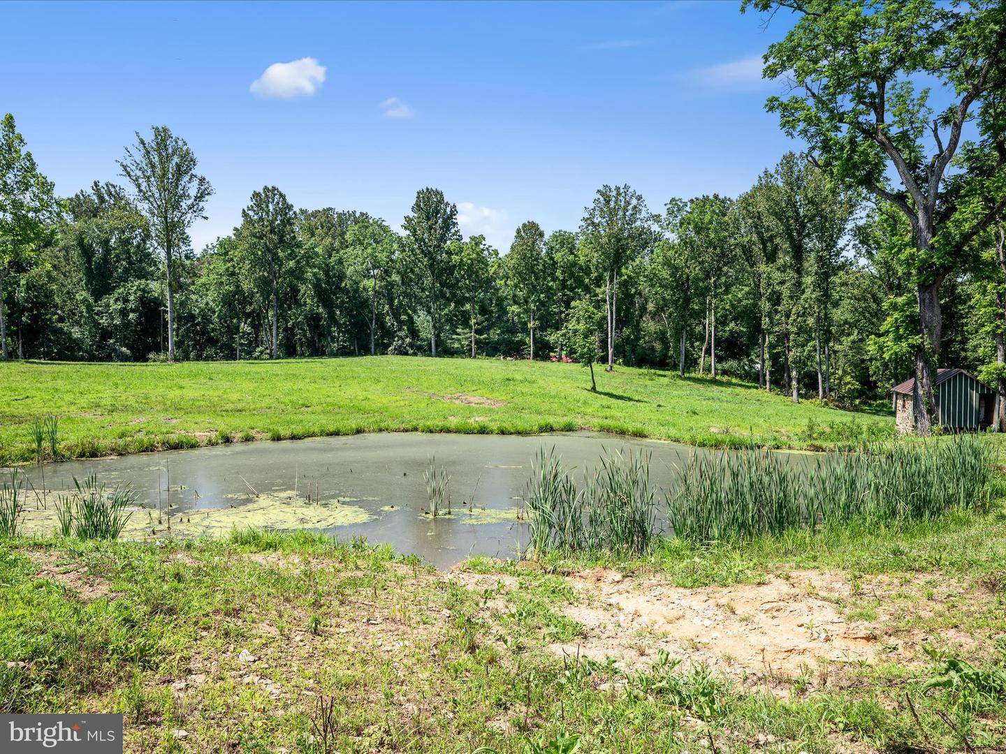 19164 BLACK OAK RD, PURCELLVILLE, Virginia 20132, 5 Bedrooms Bedrooms, ,3 BathroomsBathrooms,Residential,For sale,19164 BLACK OAK RD,VALO2100762 MLS # VALO2100762