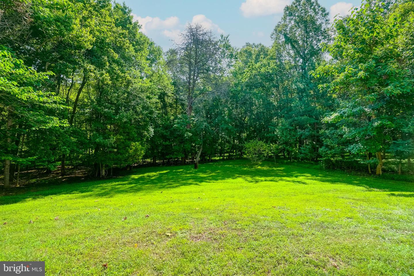 444 POINT DR, BUMPASS, Virginia 23024, 3 Bedrooms Bedrooms, 11 Rooms Rooms,4 BathroomsBathrooms,Residential,For sale,444 POINT DR,VALA2008132 MLS # VALA2008132