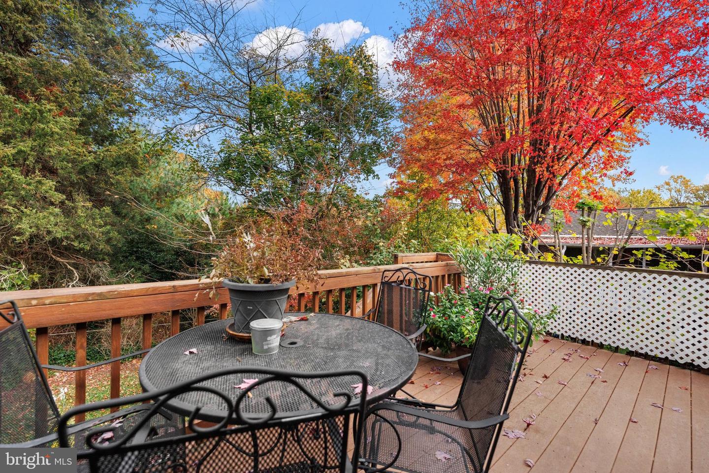 5915 5TH RD N, ARLINGTON, Virginia 22203, 4 Bedrooms Bedrooms, 7 Rooms Rooms,3 BathroomsBathrooms,Residential,For sale,5915 5TH RD N,VAAR2059984 MLS # VAAR2059984