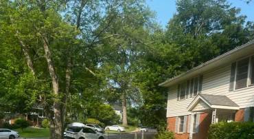 100 YEONAS CIR SE, VIENNA, Virginia 22180, 4 Bedrooms Bedrooms, ,3 BathroomsBathrooms,Residential,For sale,100 YEONAS CIR SE,VAFX2252608 MLS # VAFX2252608