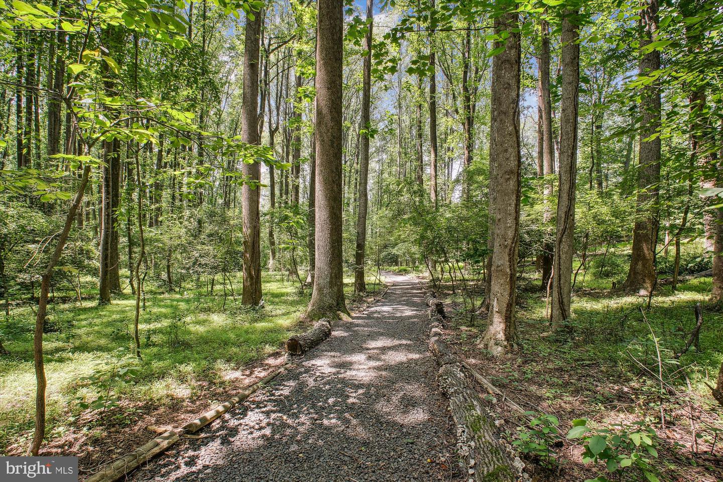 3010 PHYLLMAR PL, OAKTON, Virginia 22124, 5 Bedrooms Bedrooms, ,3 BathroomsBathrooms,Residential,For sale,3010 PHYLLMAR PL,VAFX2248134 MLS # VAFX2248134