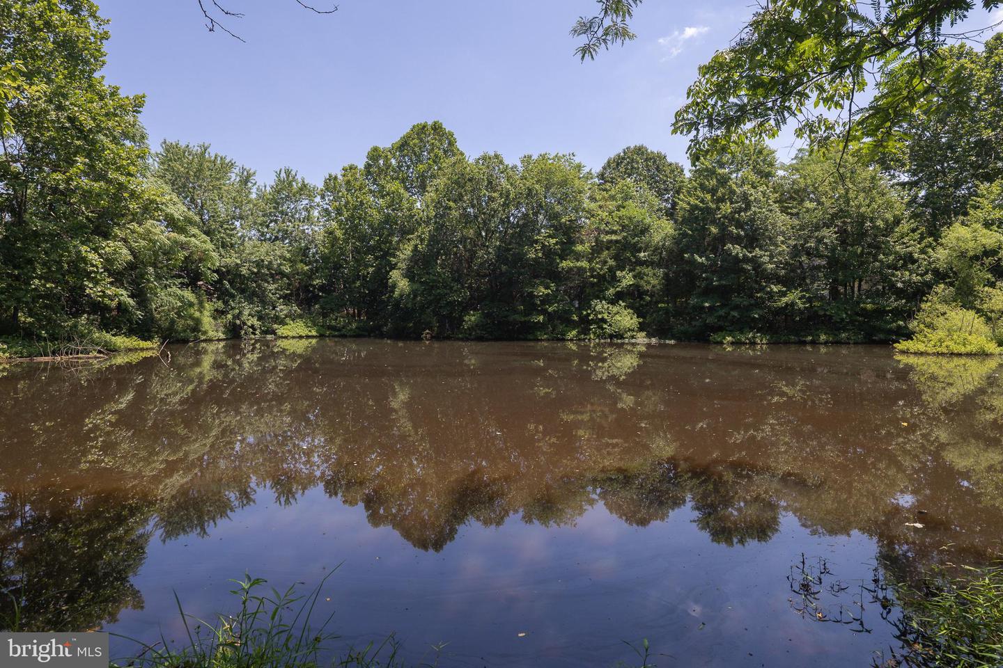 5359 WALKERTON CT, HAYMARKET, Virginia 20169, 5 Bedrooms Bedrooms, ,5 BathroomsBathrooms,Residential,For sale,5359 WALKERTON CT,VAPW2097736 MLS # VAPW2097736