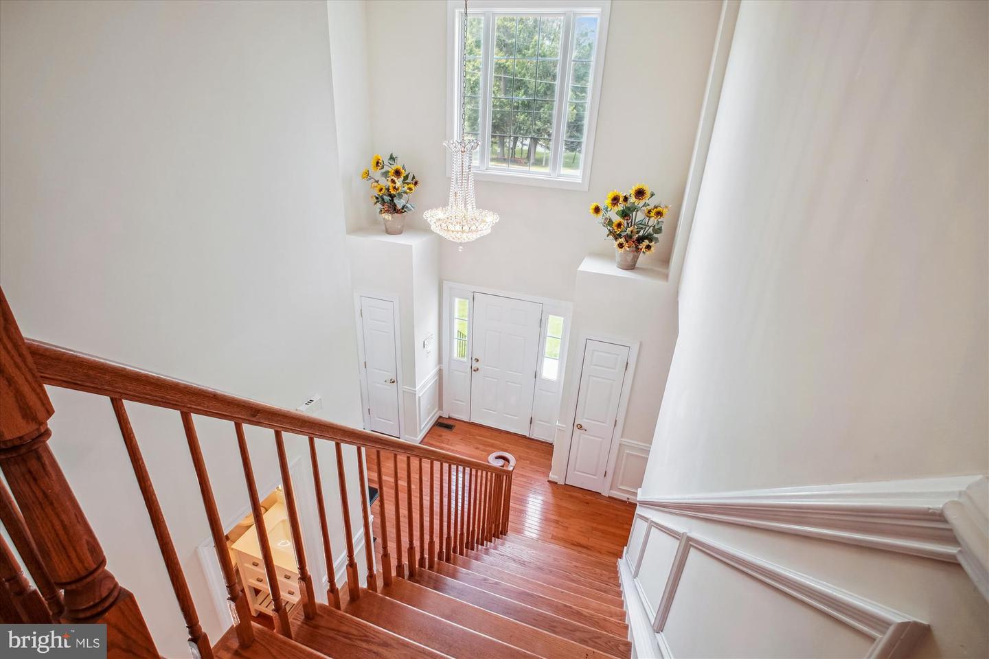 2907 DUMAS ST, ALEXANDRIA, Virginia 22306, 7 Bedrooms Bedrooms, ,5 BathroomsBathrooms,Residential,For sale,2907 DUMAS ST,VAFX2250052 MLS # VAFX2250052