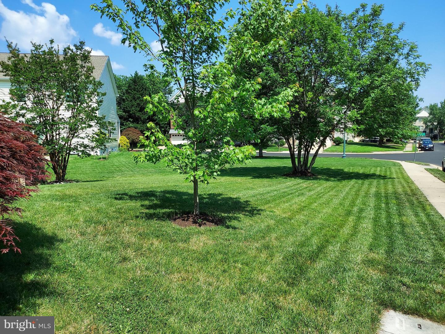 8650 TRENTON CHAPEL WAY, MANASSAS, Virginia 20109, 5 Bedrooms Bedrooms, 10 Rooms Rooms,3 BathroomsBathrooms,Residential,For sale,8650 TRENTON CHAPEL WAY,VAPW2097960 MLS # VAPW2097960