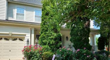 8650 TRENTON CHAPEL WAY, MANASSAS, Virginia 20109, 5 Bedrooms Bedrooms, 10 Rooms Rooms,3 BathroomsBathrooms,Residential,For sale,8650 TRENTON CHAPEL WAY,VAPW2097960 MLS # VAPW2097960