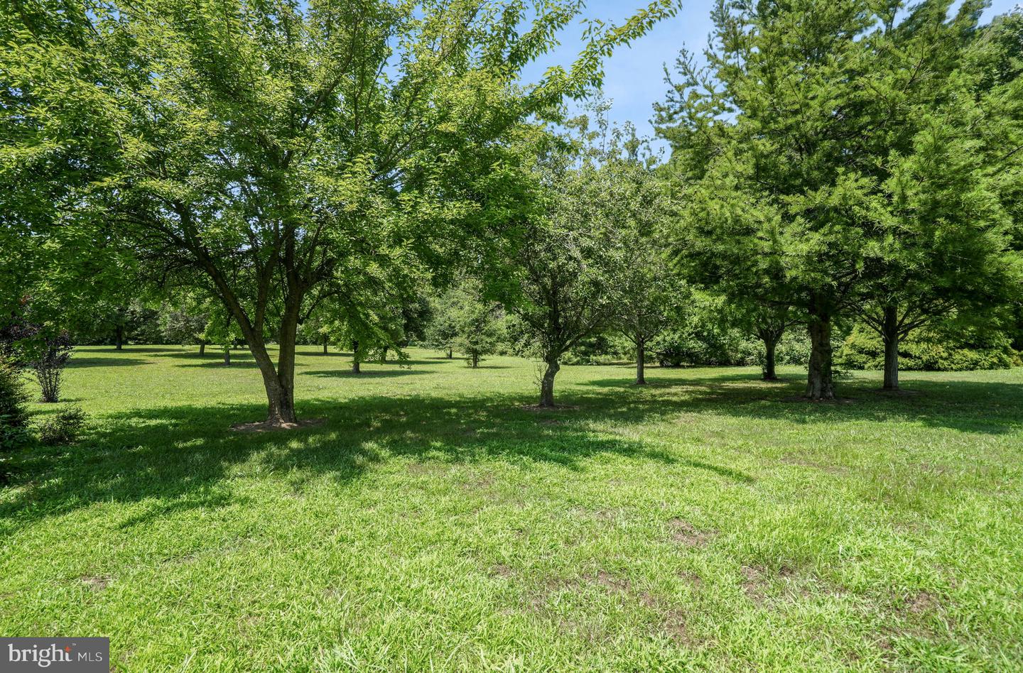 12148 ATLANTIC, ASSAWOMAN, Virginia 23302, 3 Bedrooms Bedrooms, ,2 BathroomsBathrooms,Residential,For sale,12148 ATLANTIC,VAAC2001992 MLS # VAAC2001992