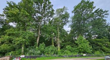 5414 CAPE DAISY LN, CENTREVILLE, Virginia 20120, ,Land,For sale,5414 CAPE DAISY LN,VAFX2252930 MLS # VAFX2252930