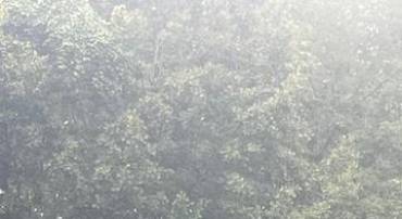 LOT 3 MORRISONS MILL RD, HUME, Virginia 22639, ,Land,For sale,LOT 3 MORRISONS MILL RD,VAFQ2017274 MLS # VAFQ2017274