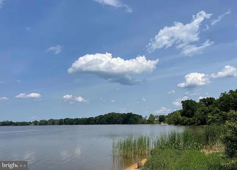 9431 BAYBREEZE CT, PORT ROYAL, Virginia 22535, 3 Bedrooms Bedrooms, 8 Rooms Rooms,2 BathroomsBathrooms,Residential,For sale,9431 BAYBREEZE CT,VACV2008438 MLS # VACV2008438