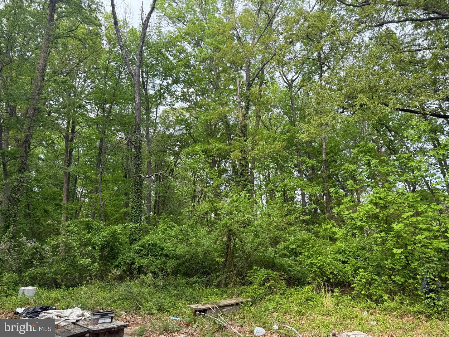 4109 MEYERS RD, TRIANGLE, Virginia 22172, ,Land,For sale,4109 MEYERS RD,VAPW2089544 MLS # VAPW2089544