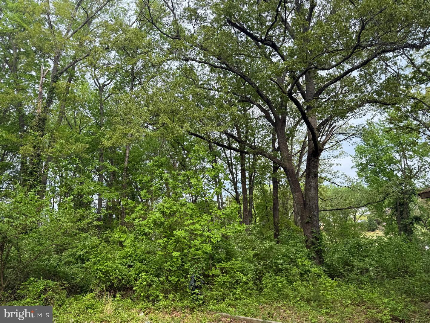 4109 MEYERS RD, TRIANGLE, Virginia 22172, ,Land,For sale,4109 MEYERS RD,VAPW2089544 MLS # VAPW2089544